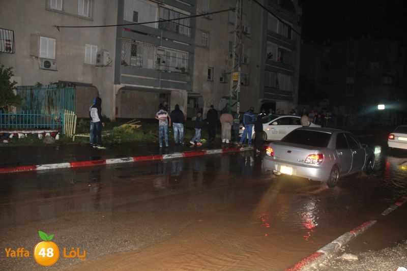 infejar onbookb (7).JPG